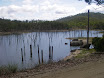 Austr_534_12.11.2007.JPG