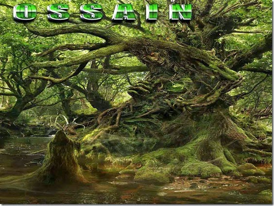 Orixá Ossain - Ossayn - Ossãe - Deus das folhas - ervas senhor curador -