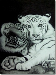 tigres2