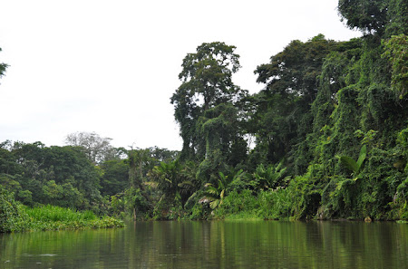 Obiective turistice Costa Rica: Pe canalele din Tortuguero