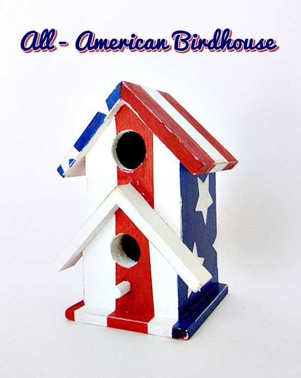 [All-American%2520Birdhouse%2520Front%2520View%2520Distressed%2520w%2520text%255B69%255D.jpg]