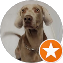 Eva Aroca profile picture