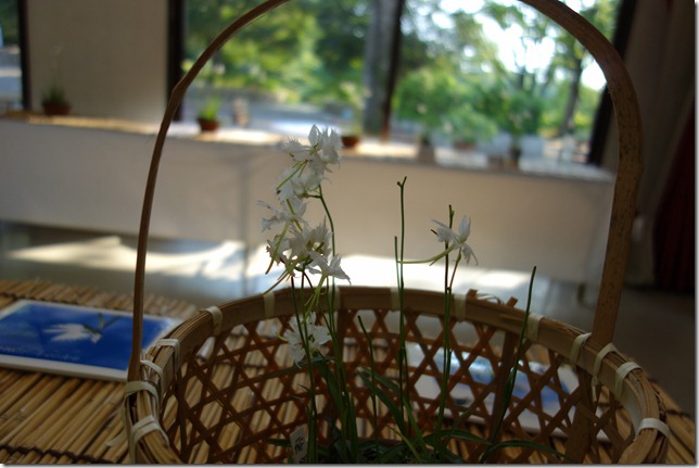 r-DSC01004 r-DSC01004