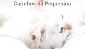 pequenina.gif
