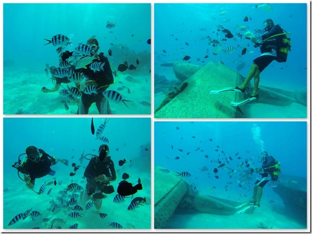 0330 Tahiti Diving1