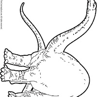 Apatosaurus