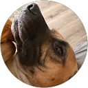 Richard Raciti profile picture