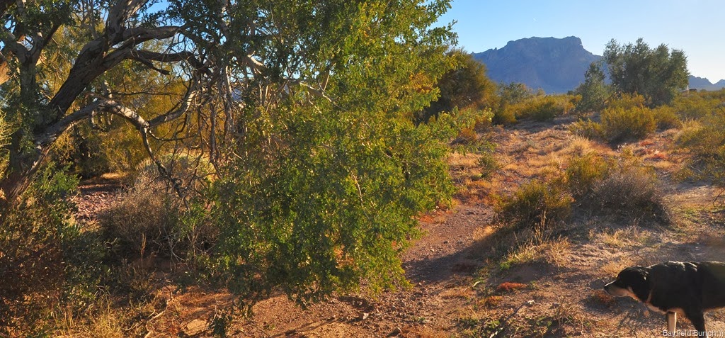 [DSC_0003%255B4%255D.jpg]