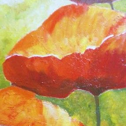 Amapolas.jpg