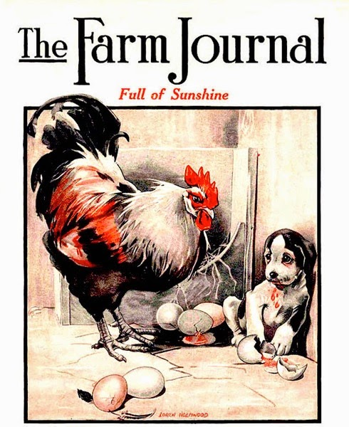 Farm Journal 1921 2