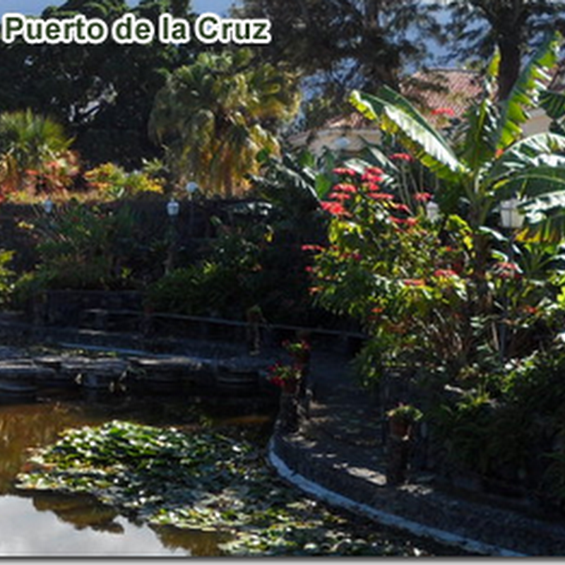 Jardín Acuatico Risco Bello - Puerto de la Cruz, Norte de Tenerife
