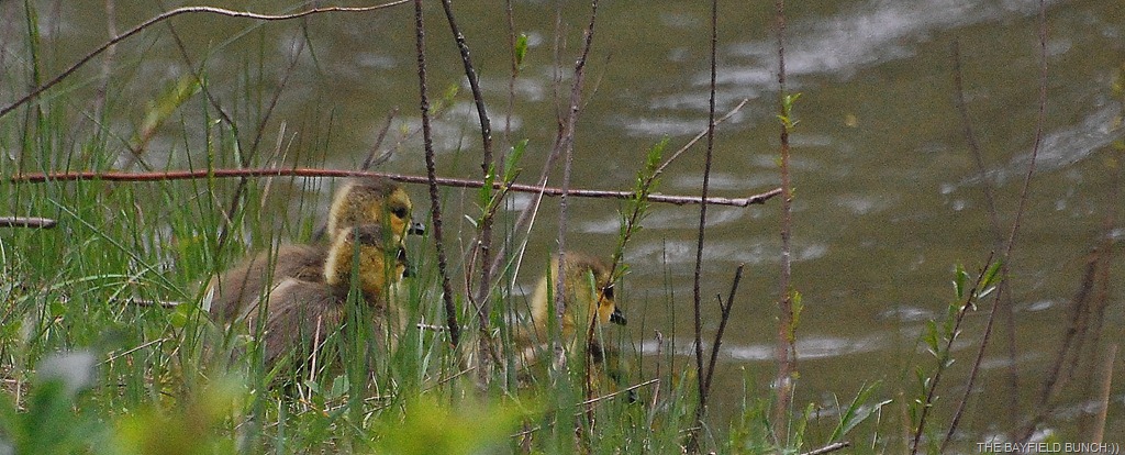 [DSC_9419%255B4%255D.jpg]