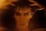 Peter Murphy