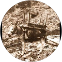 Scott Haddon profile picture