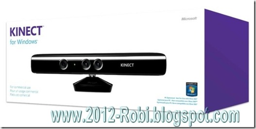 kinect2012-robi_wm