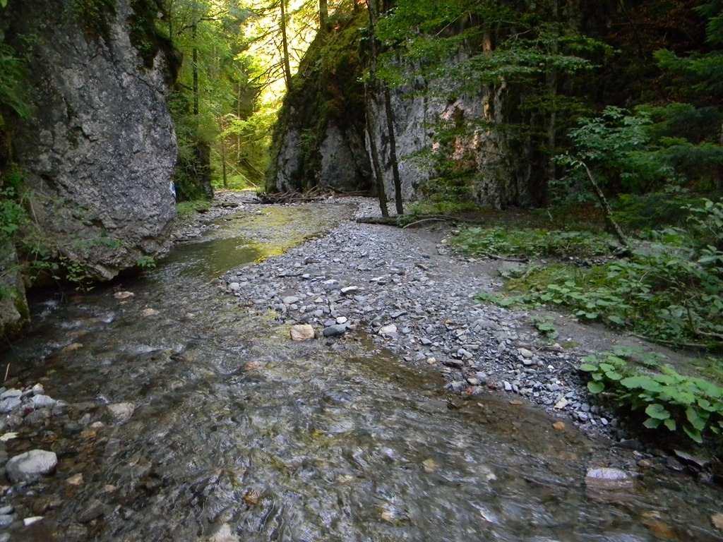 [DSCN51613.jpg]