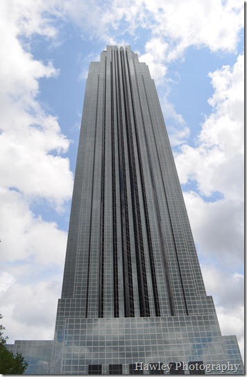 DSC_0362 DSC_0362