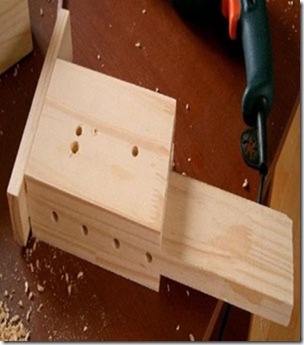 Gallery439_0