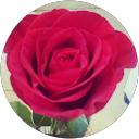 Regina Whites profile picture