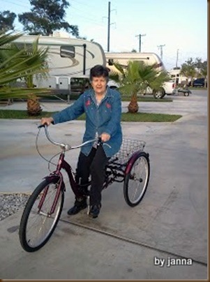 Mom & bicycle