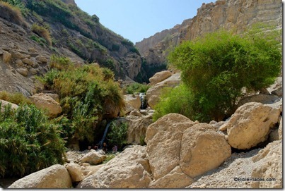 En Gedi Nahal David with waterfalls, tb052307908
