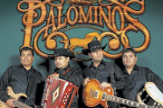 Los Palominos