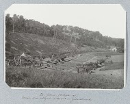 St. Jean. (6 Sept. '95). Terrein door relégués ontwoud en gecultiveerd