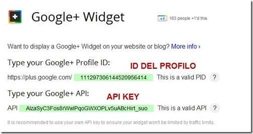 google   widget