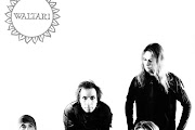 Waltari