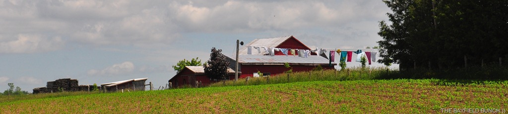 [DSC_0023%255B4%255D.jpg]