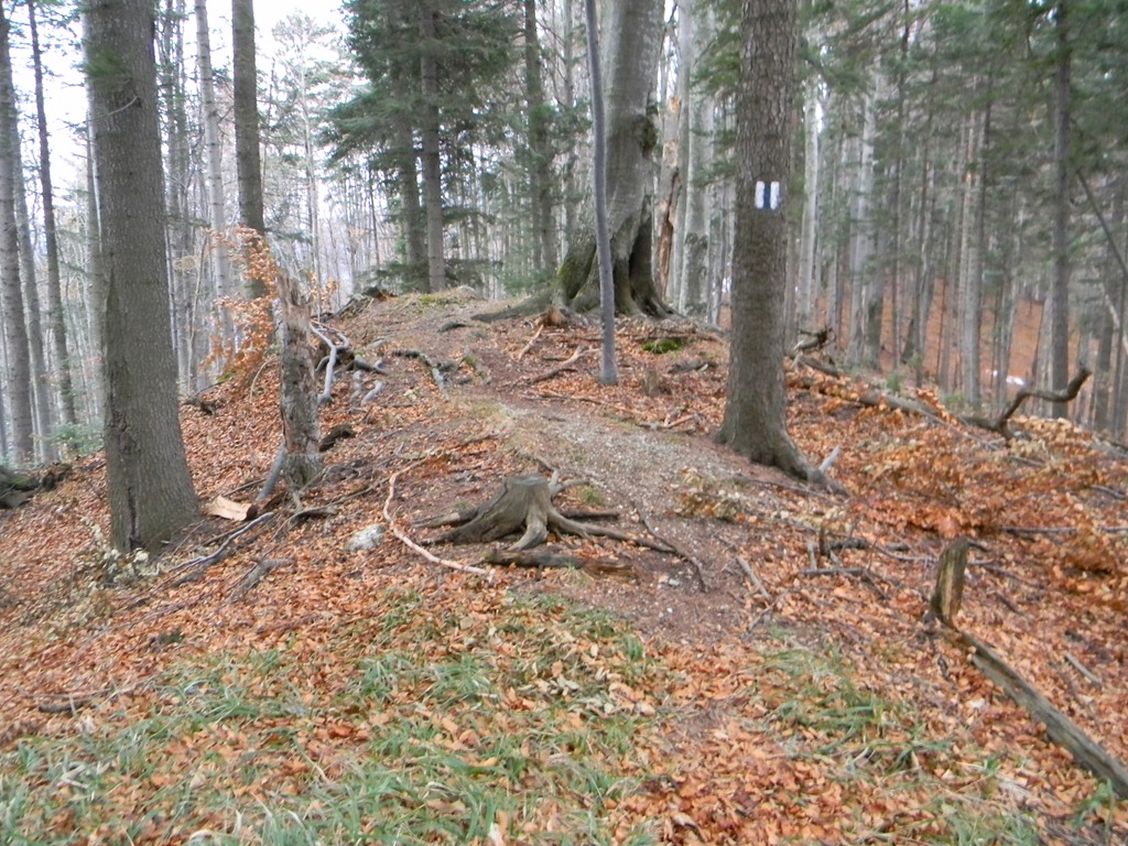 [DSCN67723.jpg]