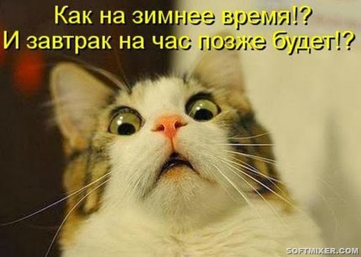 [d00e3d964dcc7d4e8385b5d7f6a_prev%255B11%255D.jpg]