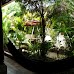 Oasis Hostel - Granada, Nicaragua granada_008.jpg