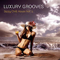 Luxury Grooves