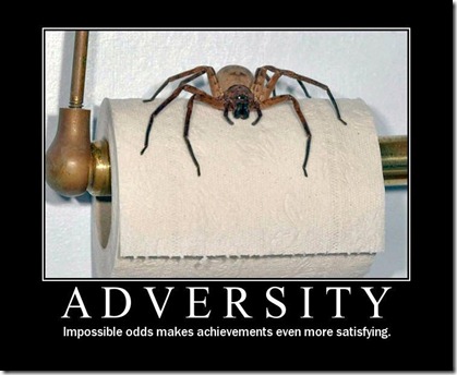 adversity-spider