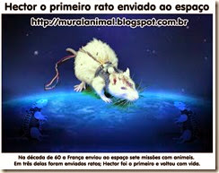 hector-rato-espaco4
