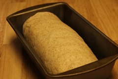 honey-graham-oatmeal-bread012
