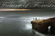 Future Of Forestry