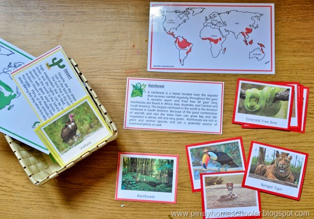Animal Habitats Cards