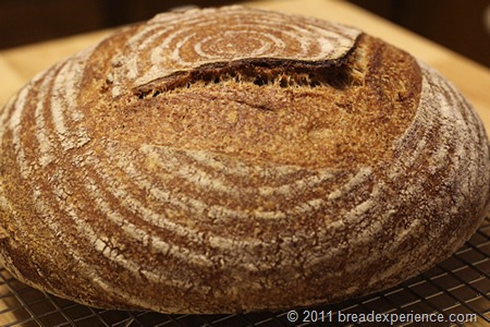 [tartine-whole-wheat-bread_0869%255B1%255D.jpg]