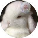 Image Google de S. Clark