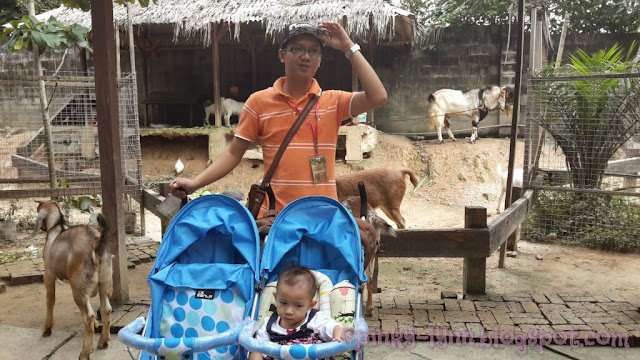 Bawa Anak Kenali Haiwan Secara Dekat di Farm In The City, Seri Kembangan Bawa Anak Kenali Haiwan Secara Dekat di Farm In The City, Seri Kembangan