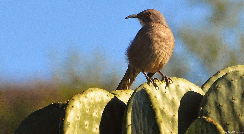 [DSC_0028-001%255B3%255D.jpg]