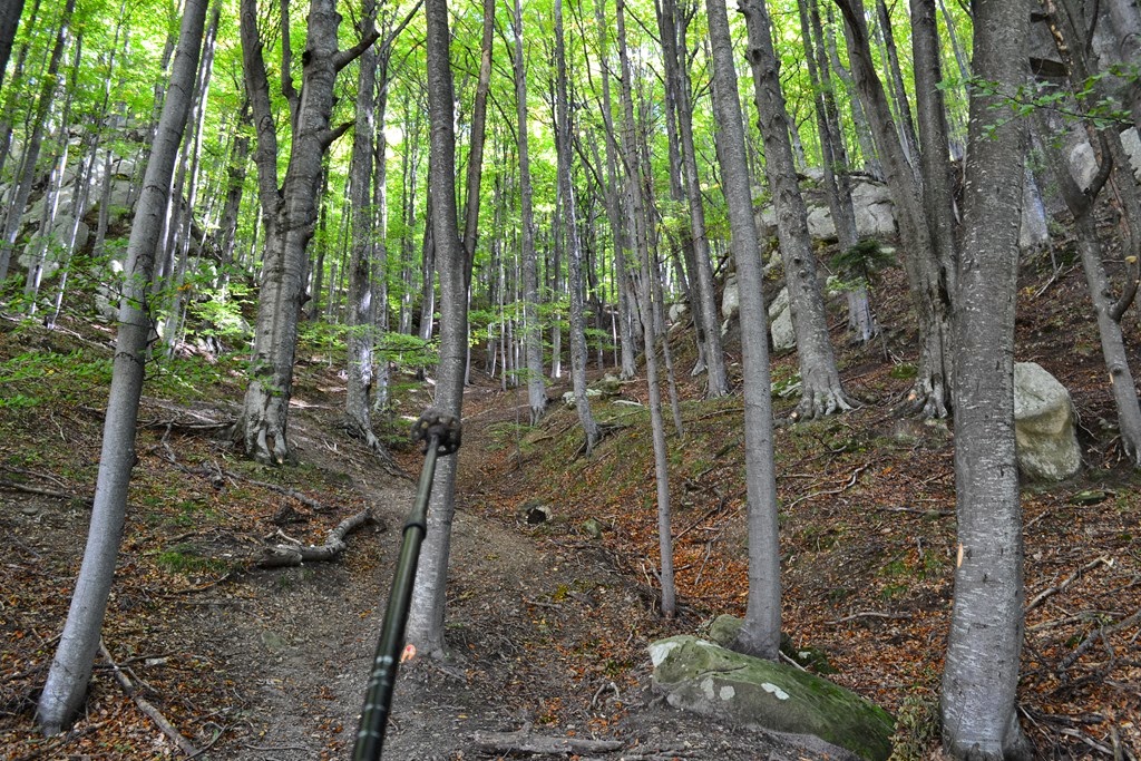 [DSC_01443.jpg]