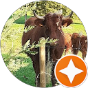 Image Google de Kamo Coralie