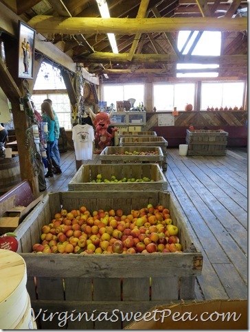 Apples at Johnsons