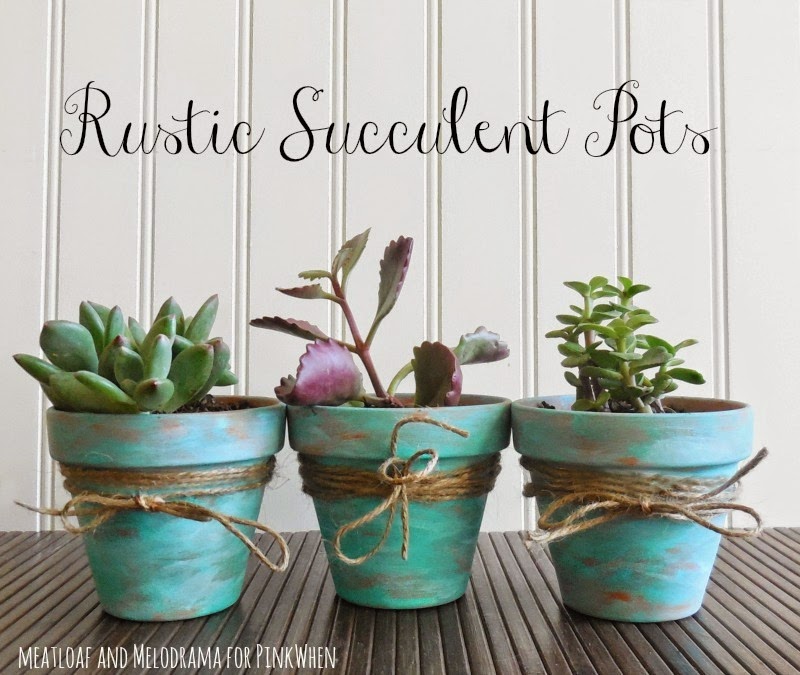 [Rustic-Succulent-Pots%255B3%255D.jpg]