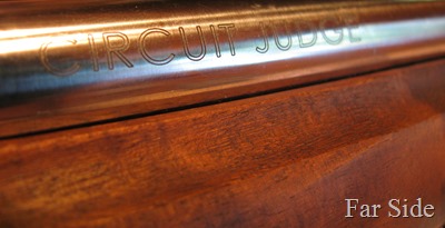 Circuit Judge Rifle and 45
