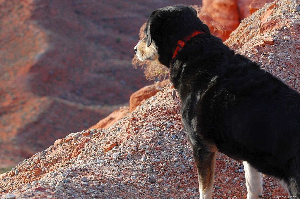 [DSC_3732%255B3%255D.jpg]