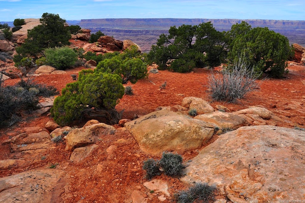 [DSC_01221%255B1%255D.jpg]